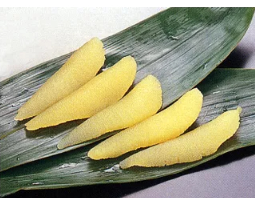 浜本味付数の子　小　　（２ｋｇ）　Ｇ