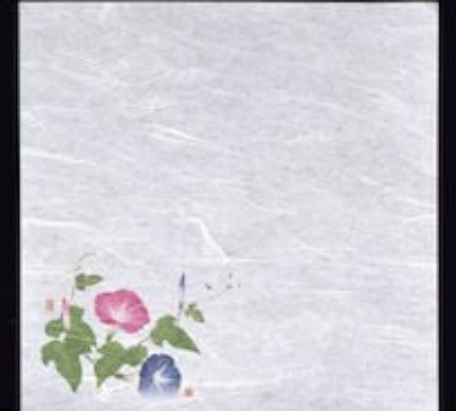 濡れ奉書　朝顔（１００枚）