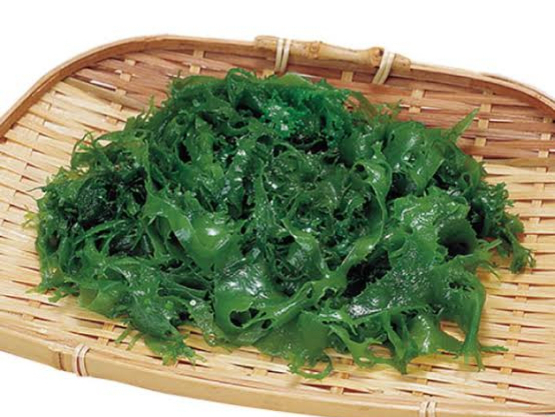 青とさか（１ｋｇ）