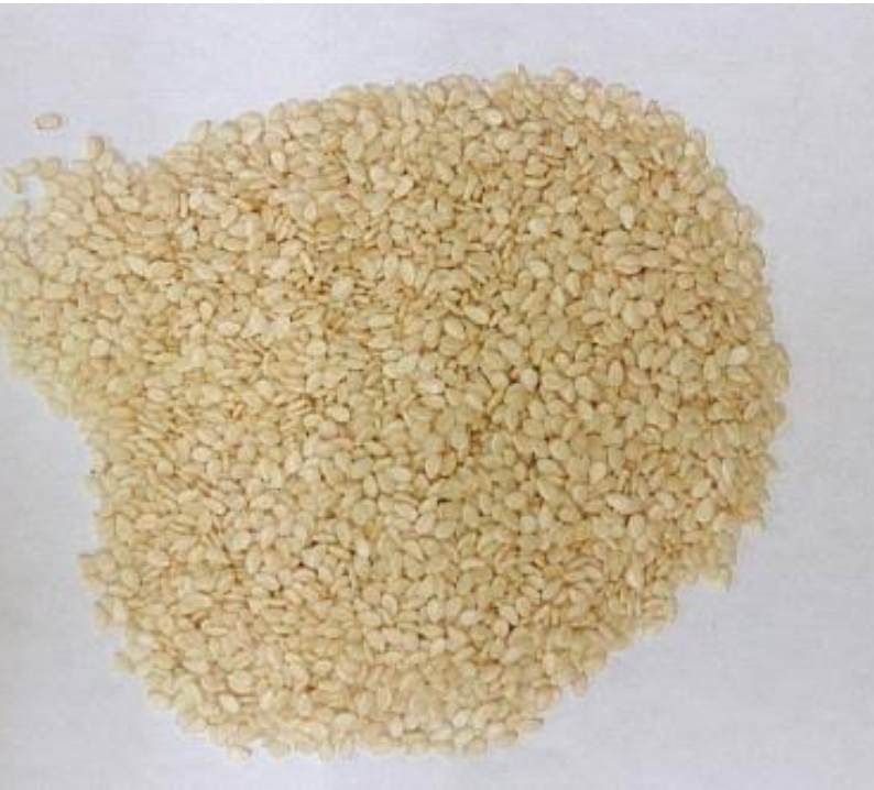 恵美福みがき胡麻　白　（５００ｇ）ーＺ