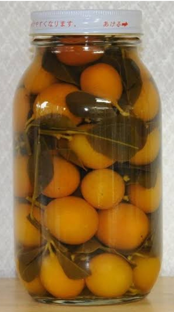葉付金柑　原色　（４０ケ）