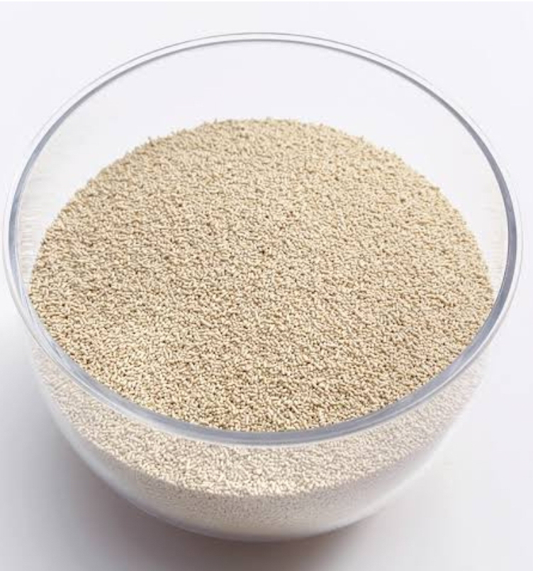 ドライイースト（５００ｇ）