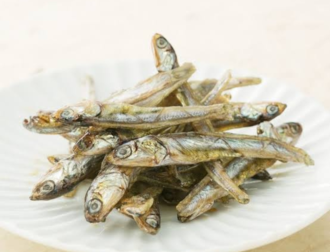 特選　田作り（５００ｇ）　ＳＧ