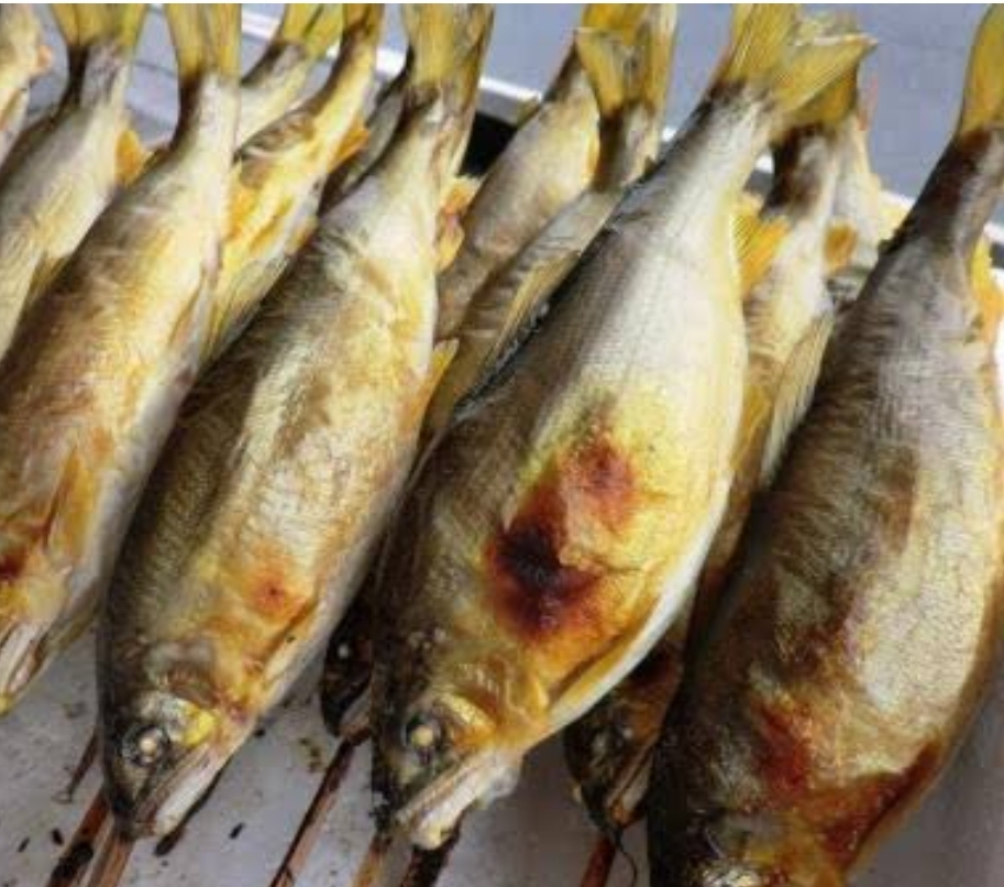 子持鮎素焼　特大　（１０尾）１５ｃｍ　ＳＧ