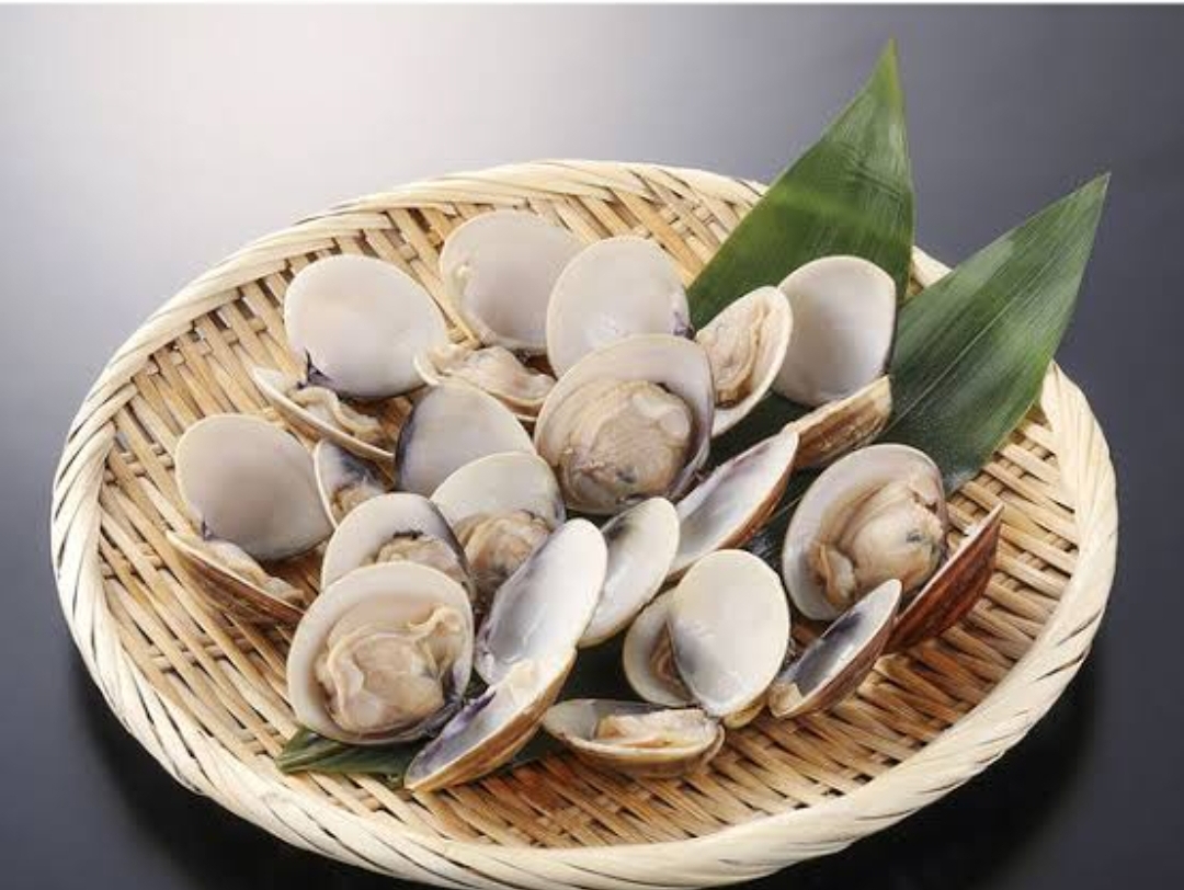ボイル蛤殻付き　５００ｇ