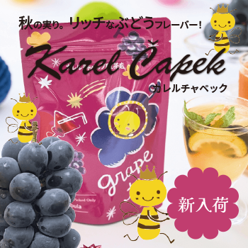 カレルチャペック・秋