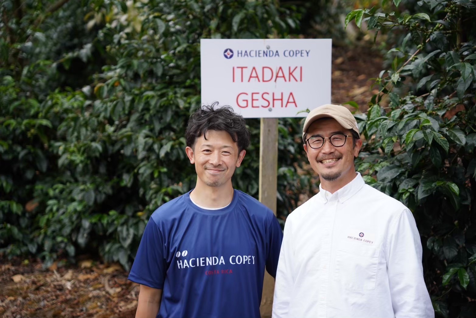 コスタリカ　ハシエンダコペイ農園