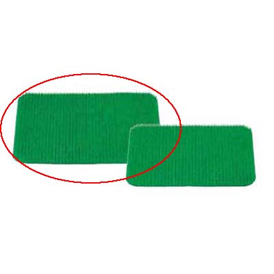 パイレス專用 肉芝 B型 大用