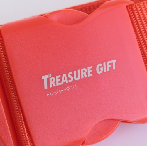 スーツケースベルト（赤）への持ち込み名入れ加工見本（素材：PP・樹脂）バックル