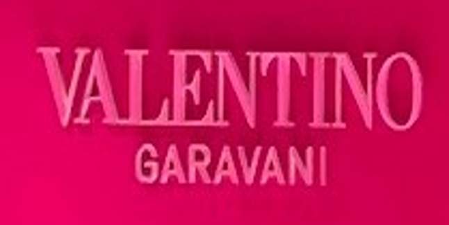 [VALENTINO GARAVANI] LED Front-Lit Sign