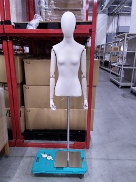 DONNA TORSO(脚なし)_Sep.2025ver.