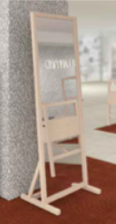 FSミラー
FS mirror