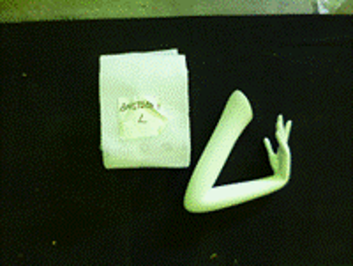 BONAVERI_マネキンアーム③-Ｒ（廃棄）