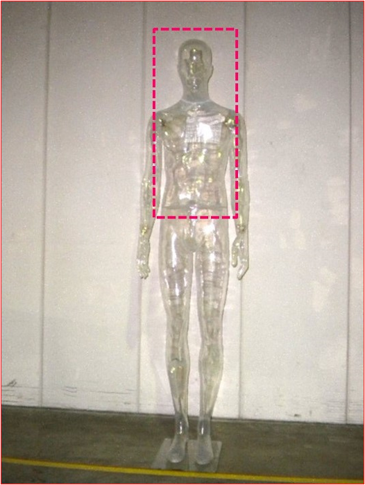 UOMO　CLRマネキン upper body（廃棄）