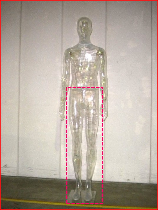 UOMO　CLRマネキン lower body