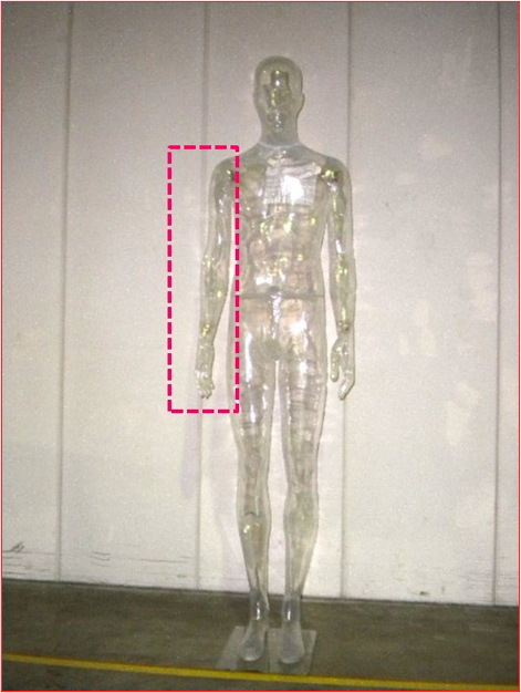 UOMO　CLRマネキン right arm