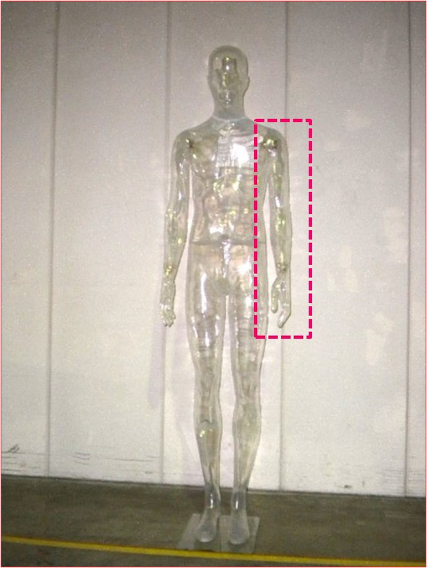 UOMO　CLRマネキン left arm