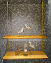 壁掛棚シングル2段