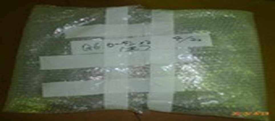 Black Curtain / 黒いカーテン銀座用