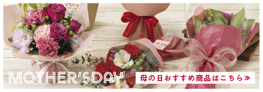 母の日特集ページ