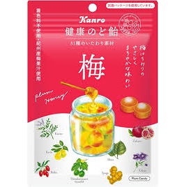 特注品：カンロ 健康のど飴塩梅