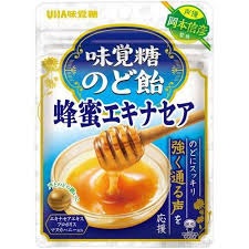 特注品：味覚糖 味覚糖のど飴蜂蜜エキナセア