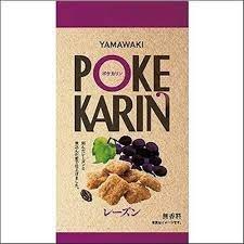 特注品：山脇 ポケカリン レーズン