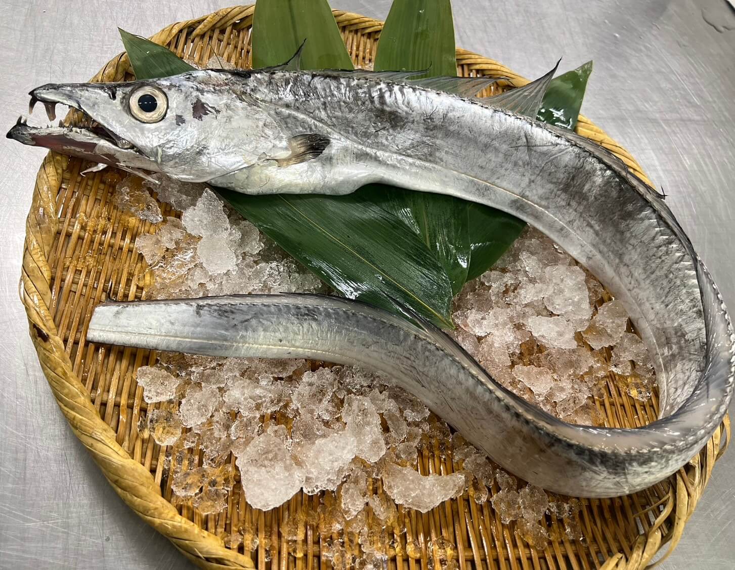 タチウオ