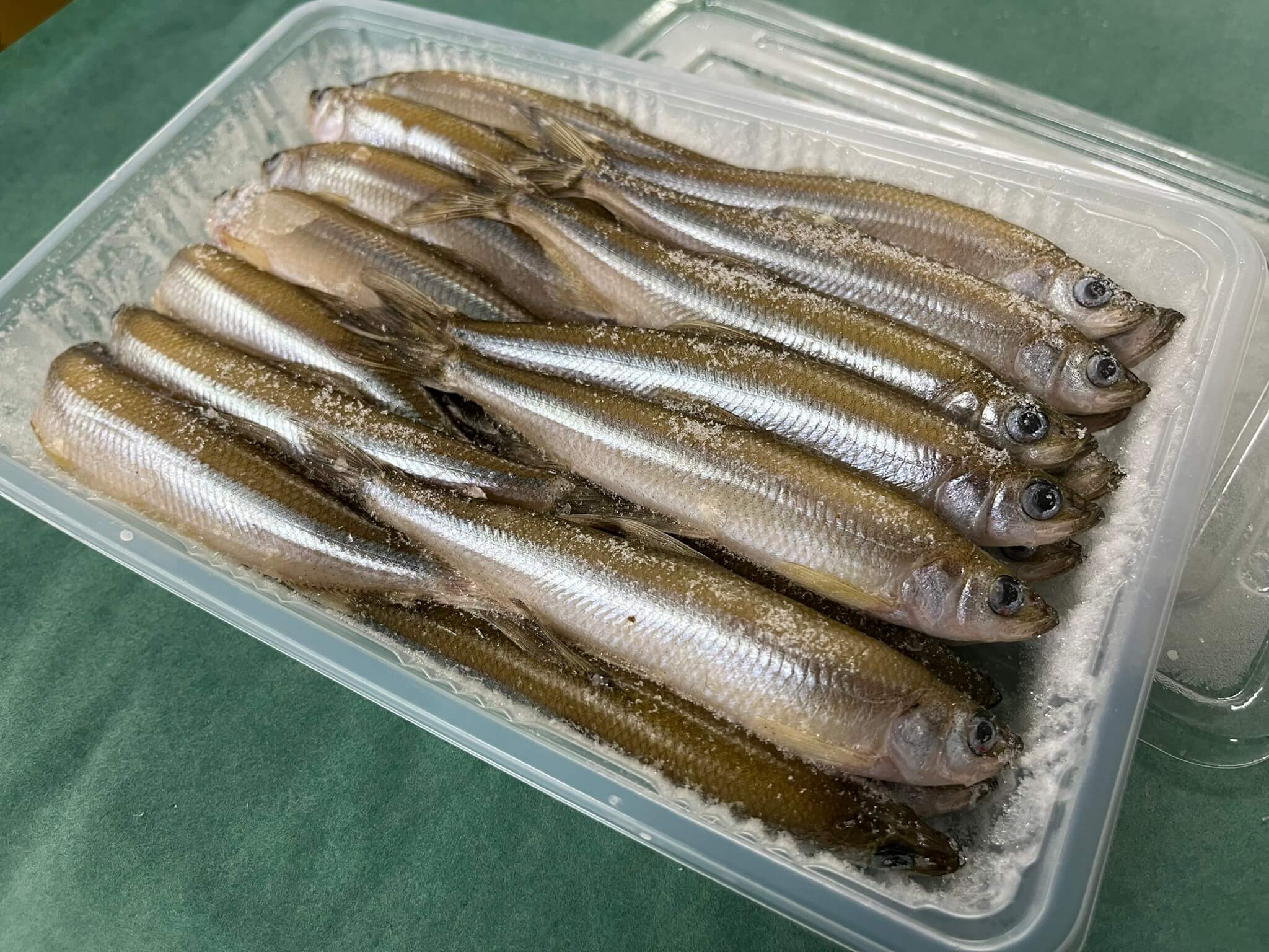 冷凍ワカサギ