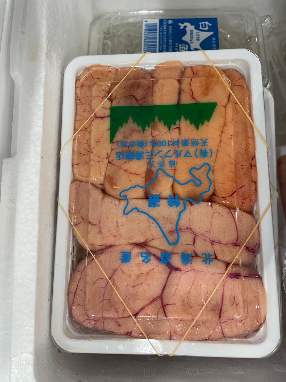 生スケコ