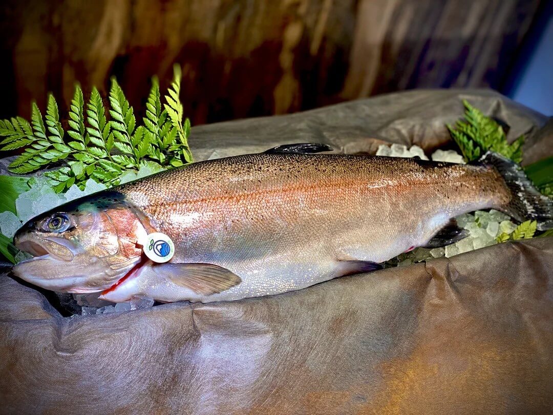 紅富士サーモン