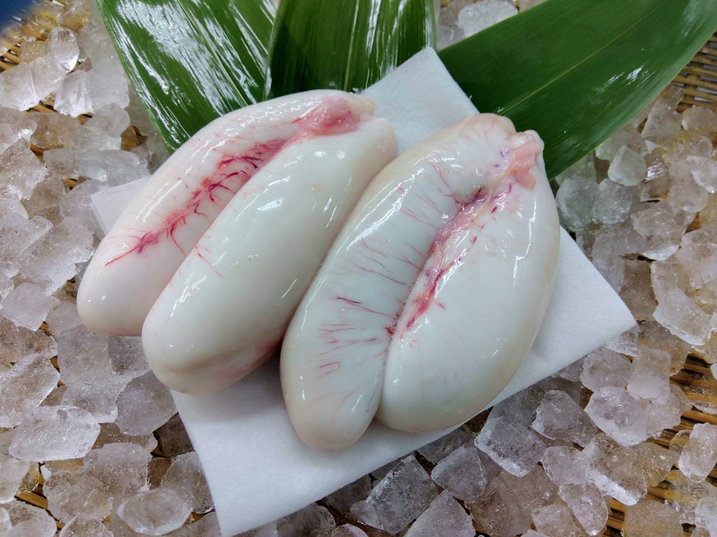 フグ白子