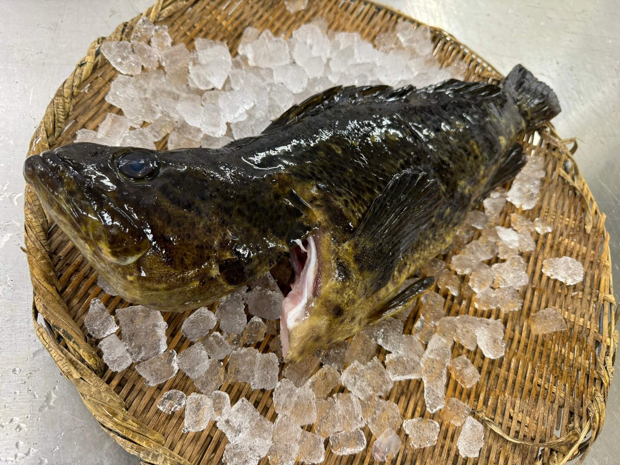 タケノコメバル