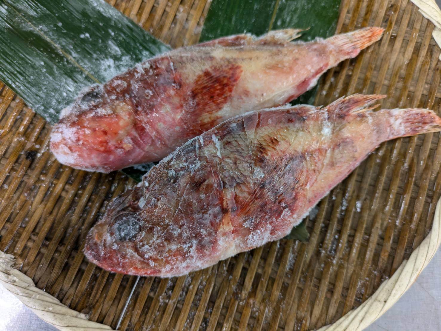 生冷オニカサゴ