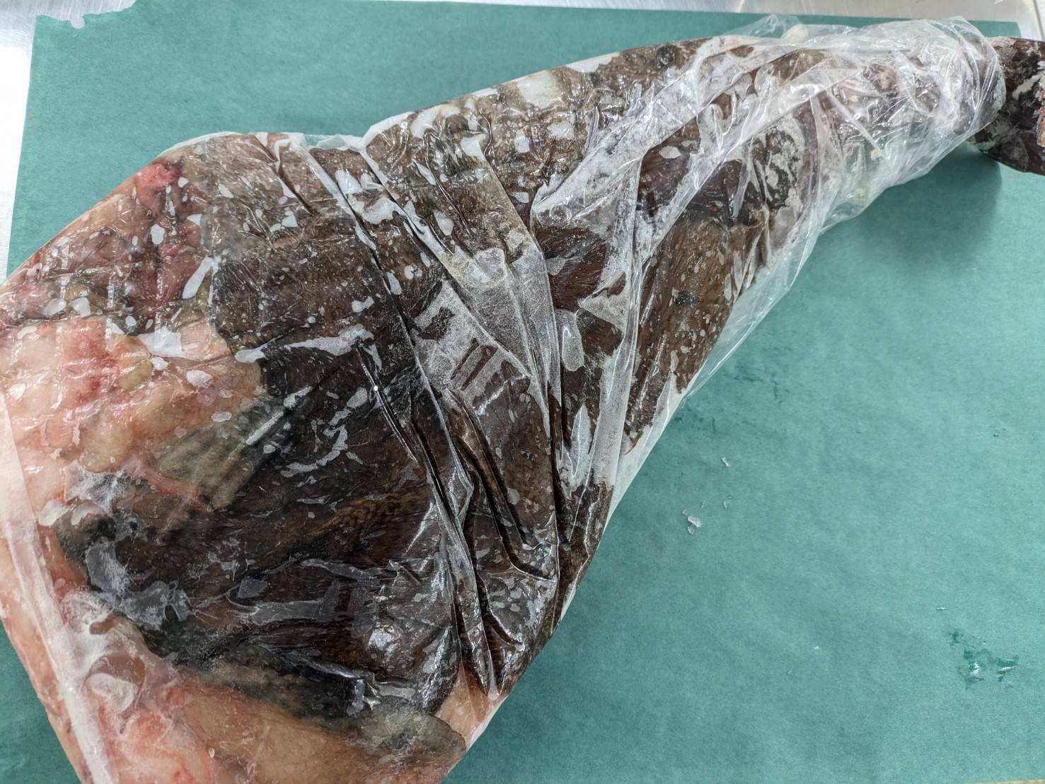 冷凍 むきアンコウ