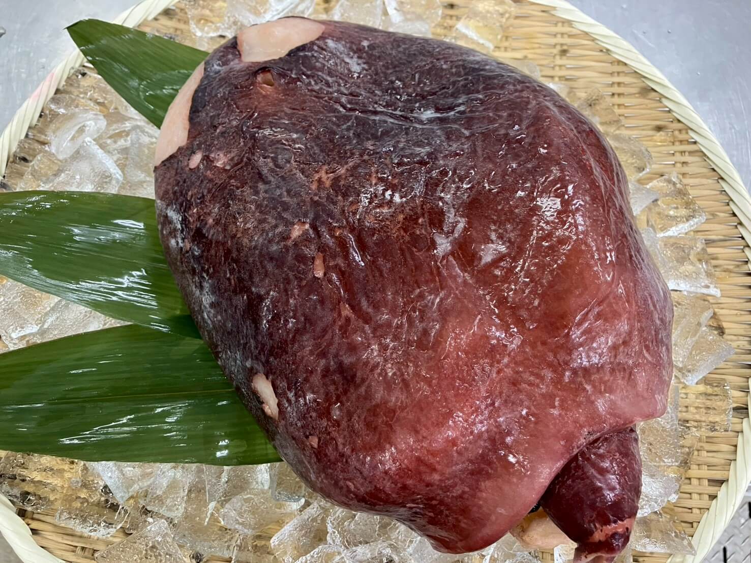 冷凍 ボイルタコ頭