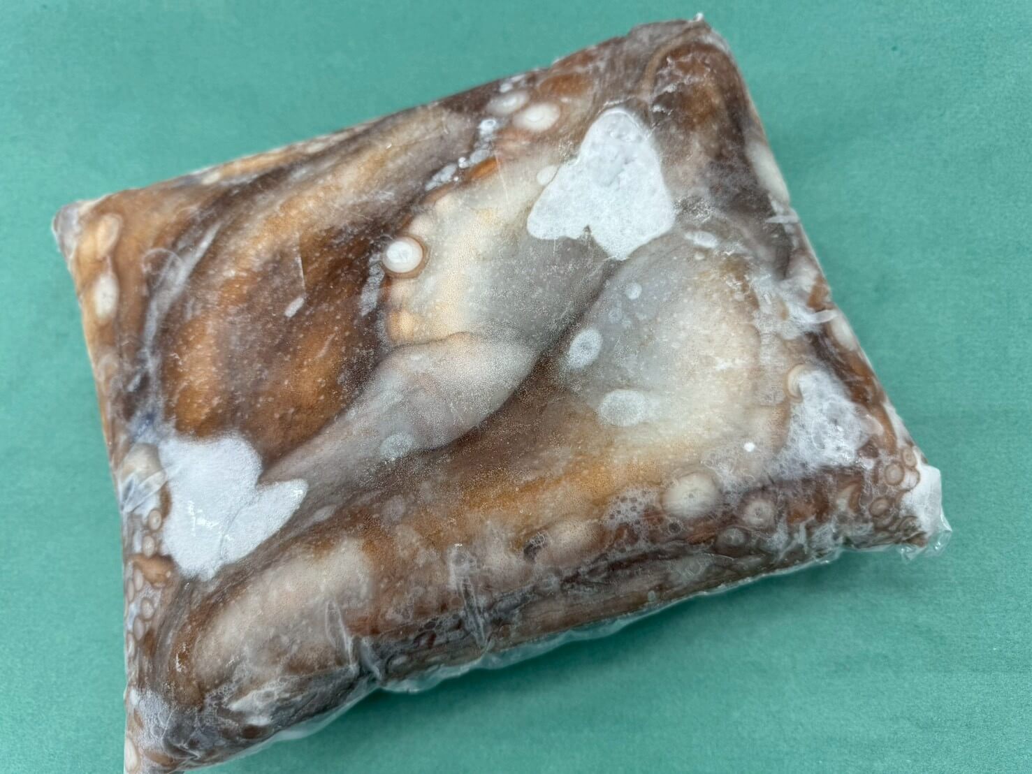 生冷 ヤナギダコ