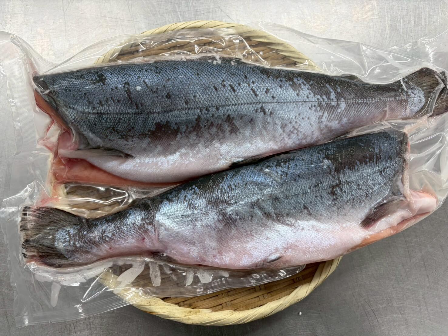 冷凍 海水養殖サクラマス（ドレス）