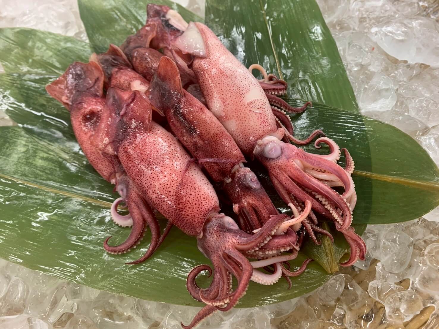 ボイルヤリイカパック