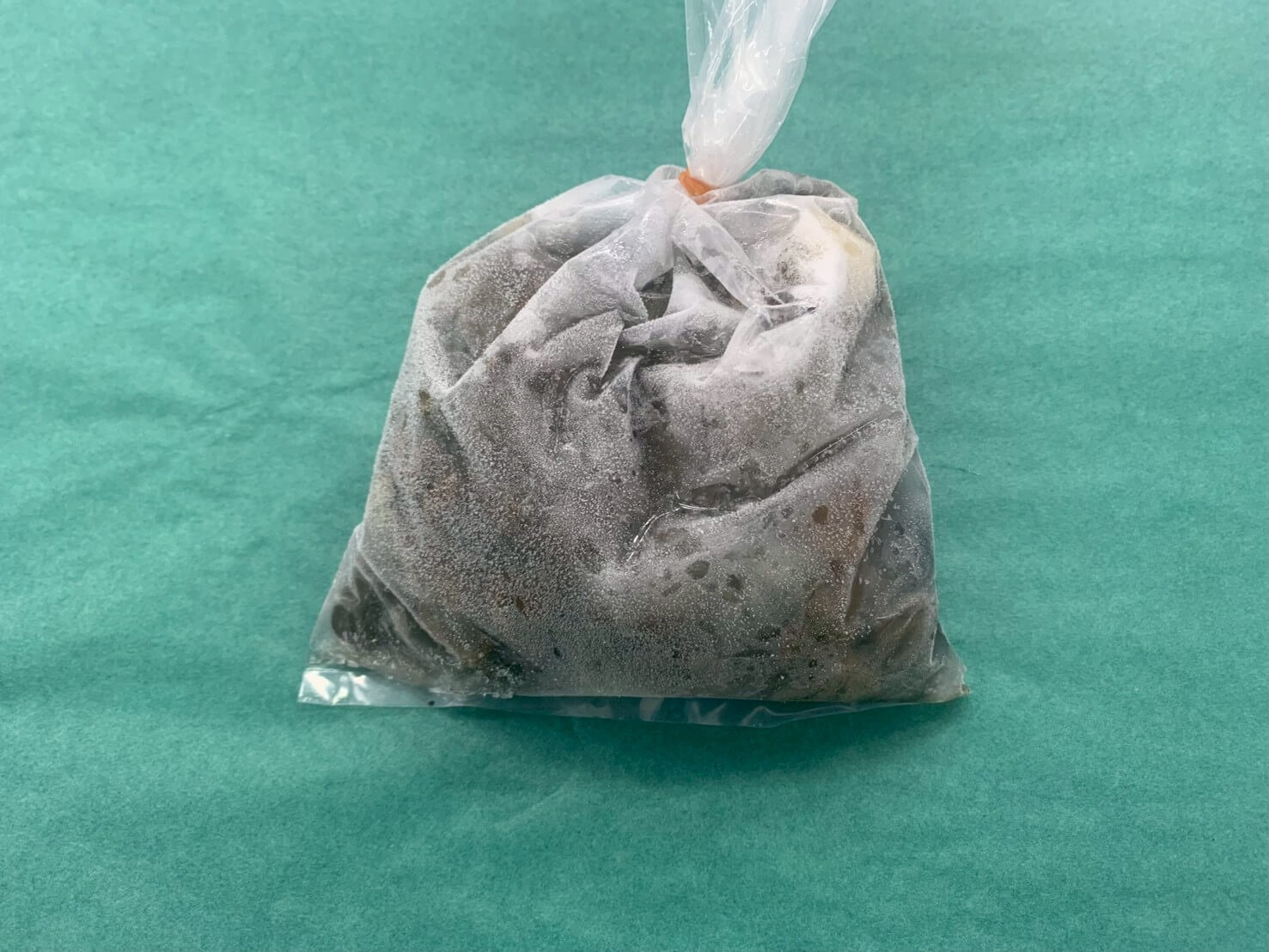 冷凍 ナミノコ貝（コタマ貝）