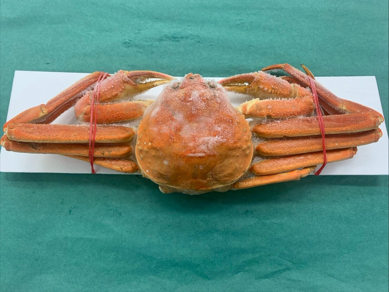 冷凍 ボイル本ズワイガニ