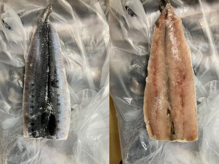 冷凍 開きイワシ