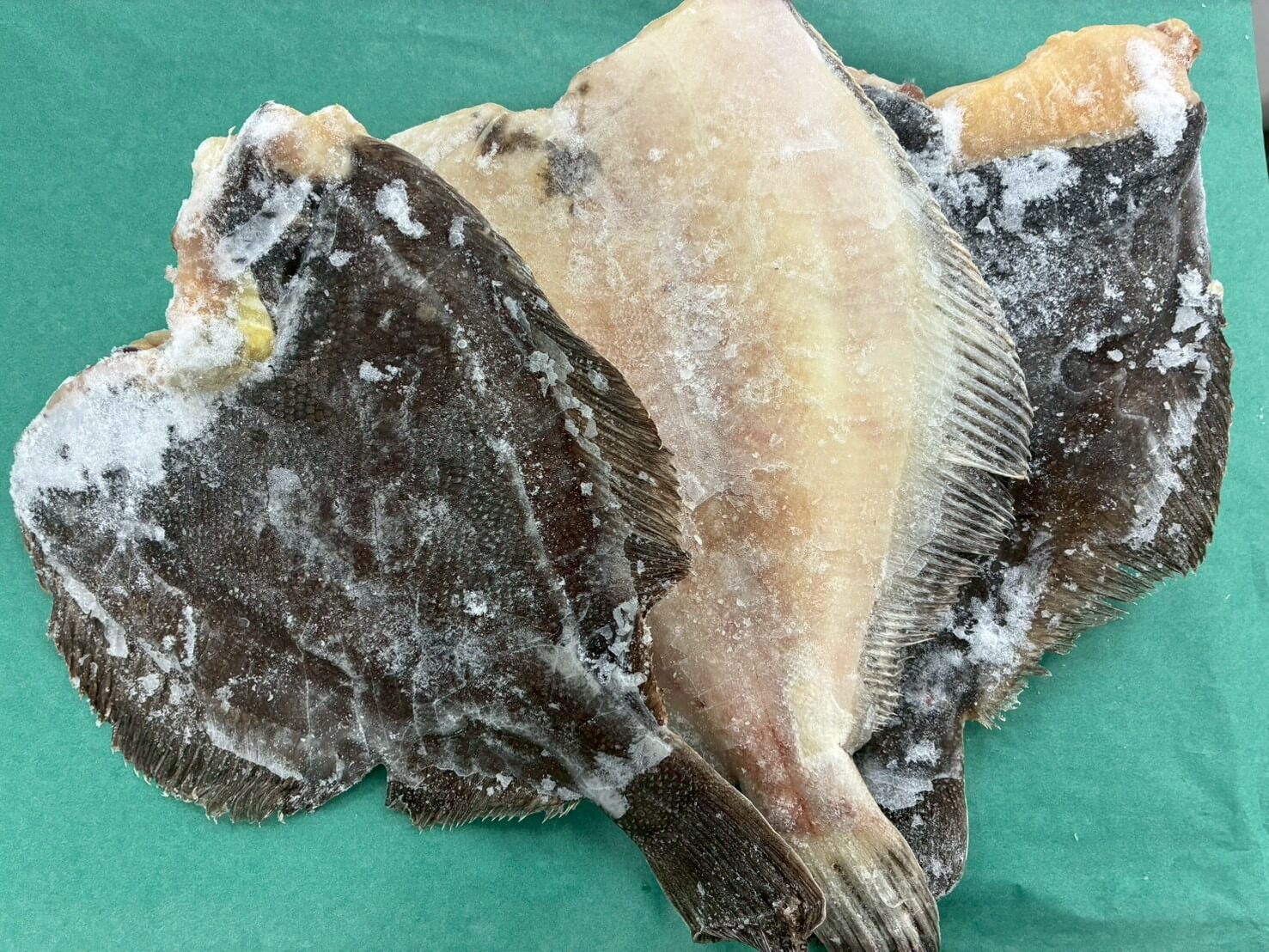 冷凍 無頭 子持ち浅羽カレイ