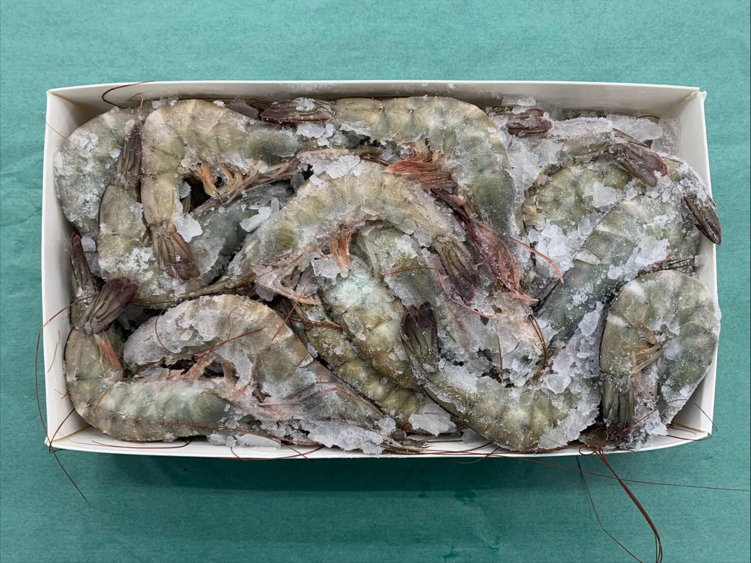 生食用 有頭殻付 バナメイ
