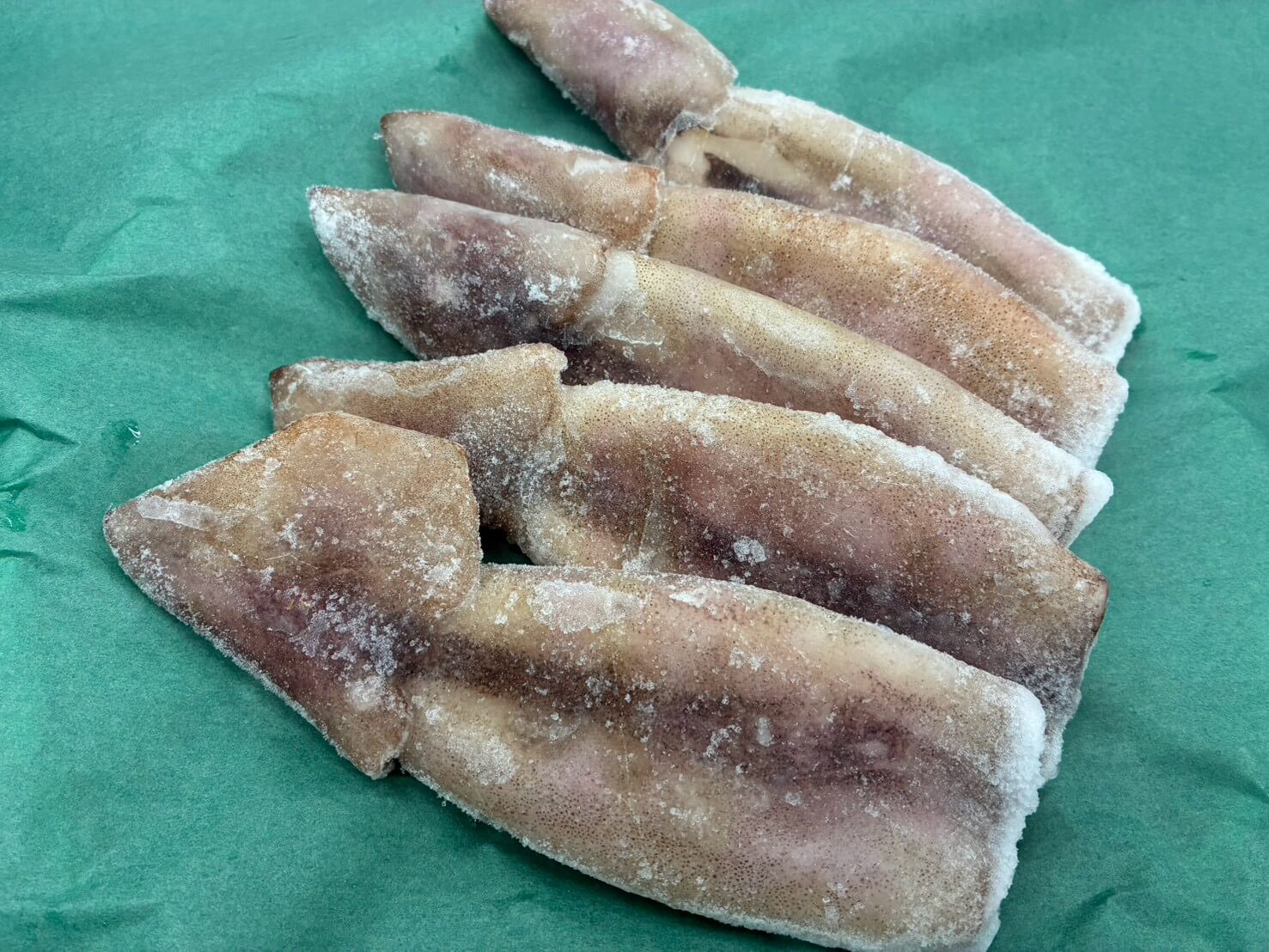 ツボ抜き 松イカ（マツイカ）