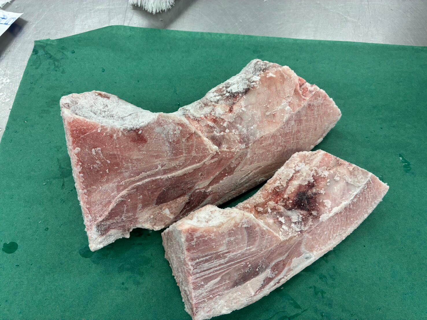 バチマグロ カマ