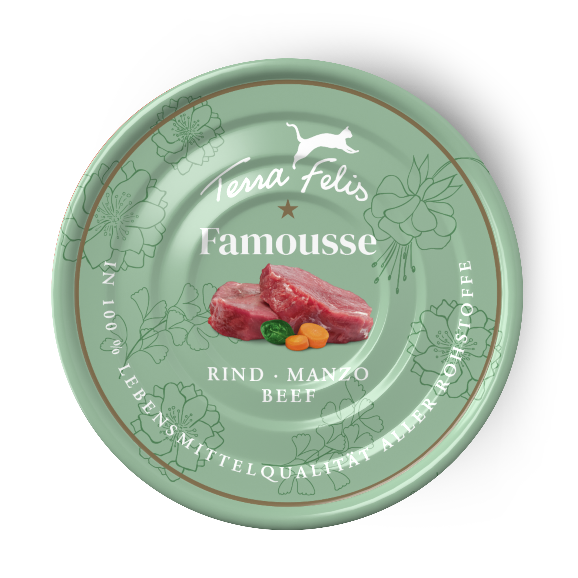 テラフェリス ビーフ