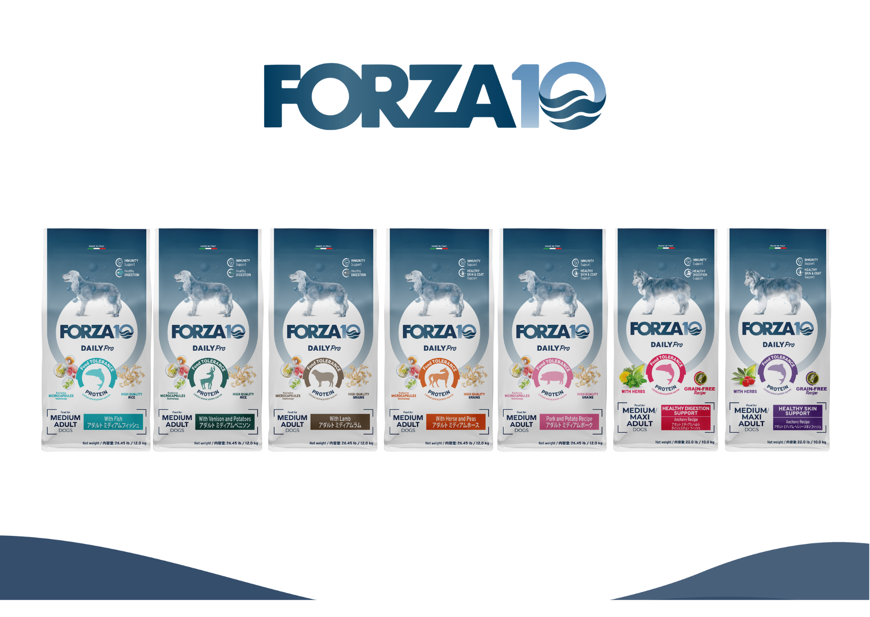 サンプルキャンペーン