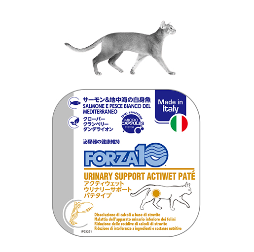 アクティウェット