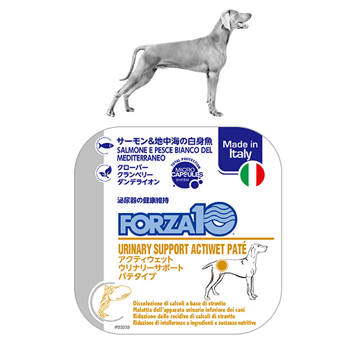 アクティウェット